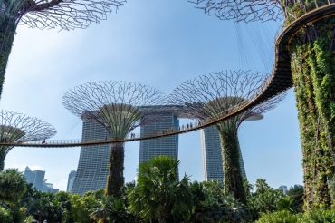 Hello again Singapore