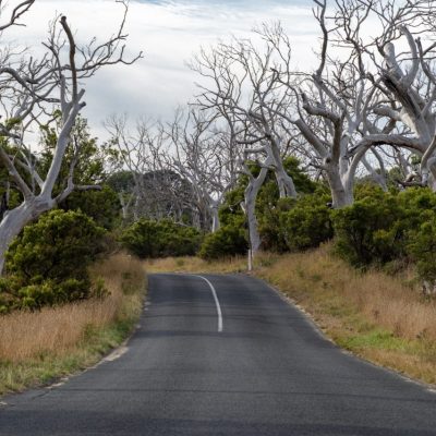 Cape Ottway