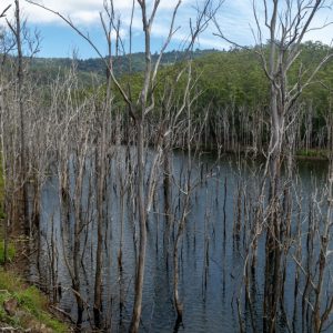 Advancetown Stausee