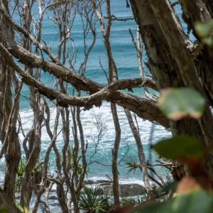 Noosa Head - Coastal Walk Nationalpark