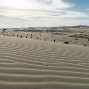 Stockton Sanddünen
