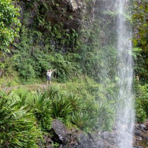Twin Falls