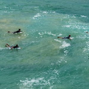 Noosa Head - Coastal Walk Nationalpark