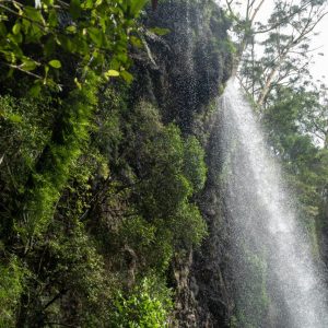 Twin Falls