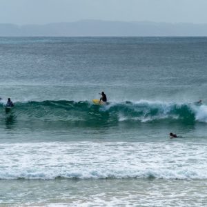 Noosa - Festival of Surfing