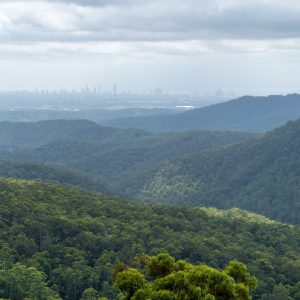 Canyon Lookout