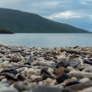 Coral Beach