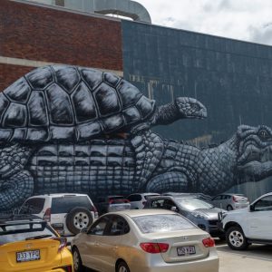 Townsville Streetart 