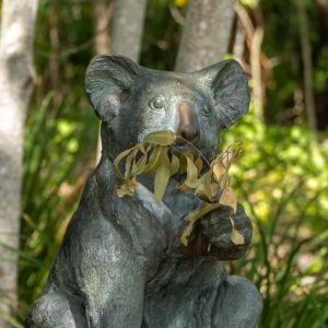 Noosa Head - Coastal Walk Nationalpark - Koala Memorial