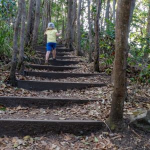 Byron Bay Coastal Walk