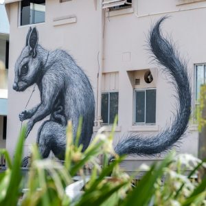 Townsville Streetart