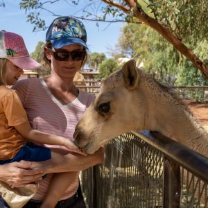 Camel füttern