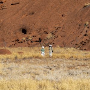 Uluru - Rundfahrt