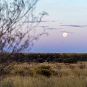 Mond geht auf am Sunset viewing area