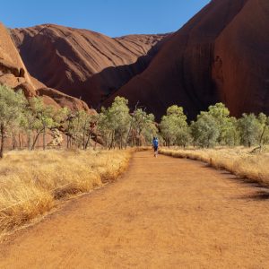Uluru - Kuniya walk