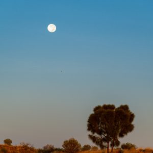 Der Mond geht auf