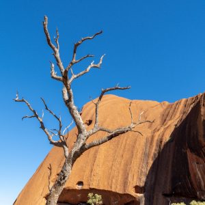 Uluru Mala walk