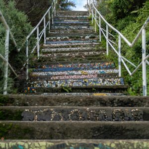 Gordons Bay (Bondi to Coogee walk)