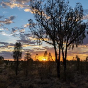 Uluru Sunrise viewing area