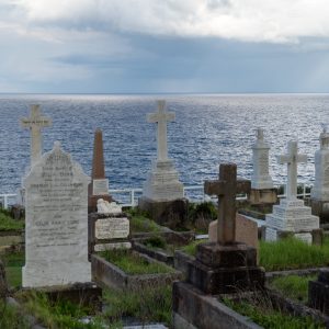 Bondi to Coogee walk - Waverly Friedhof