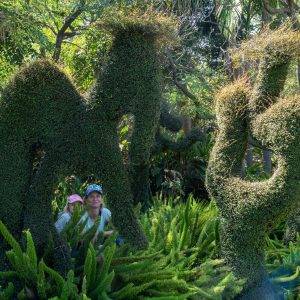 Botanischer Garten