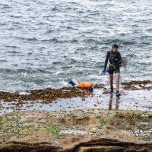 Bonde to Coogee Walk