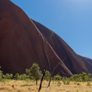 Uluru - Kuniya walk